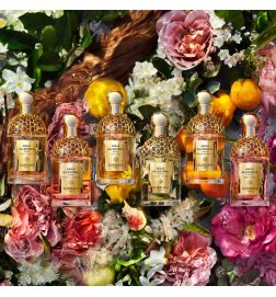 Aqua Allegoria Forte - Rosa Rossa - Eau de Parfum